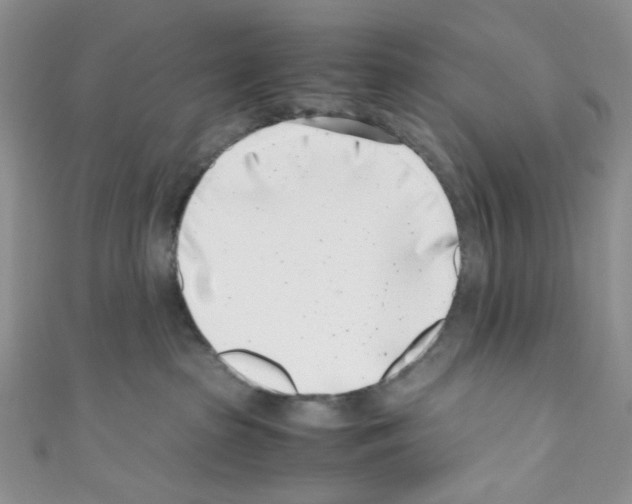 X0000110770285200907271211