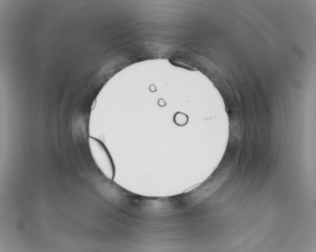 X0000110770286200907271211