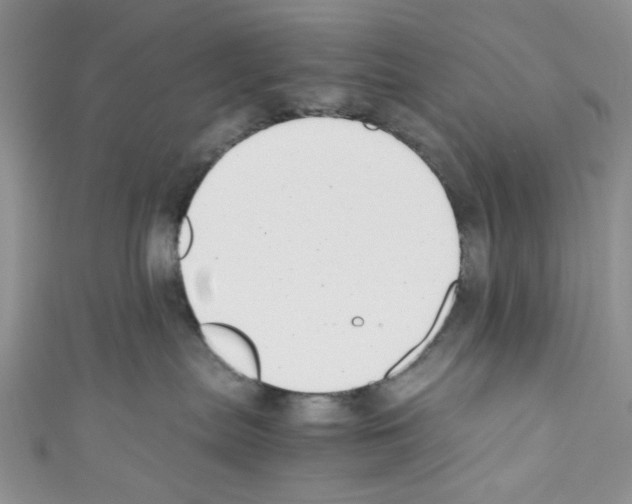 X0000110770287200907271211