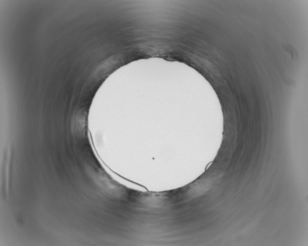 X0000110770288200907271211