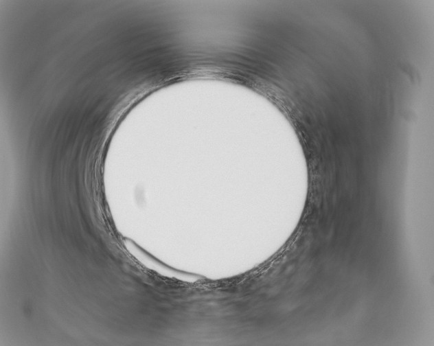 X0000110770289200907271210