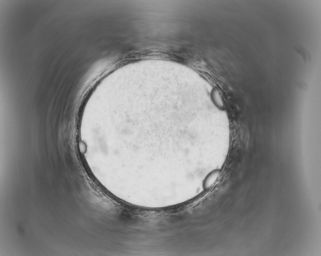 X0000110770293200907271210