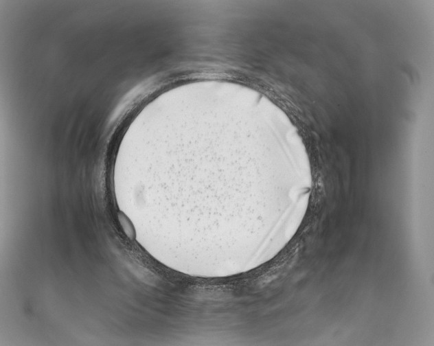 X0000110770296200907271210