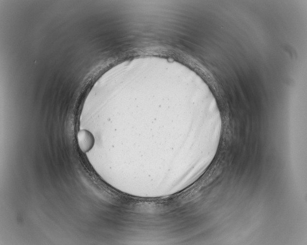 X0000110770298200907271210