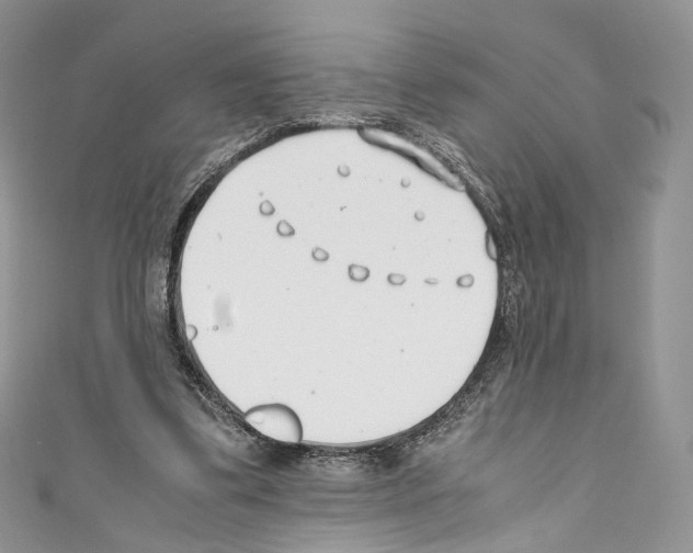 X0000110770299200907271210