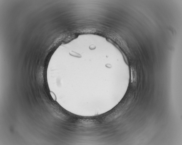 X0000110770300200907271210