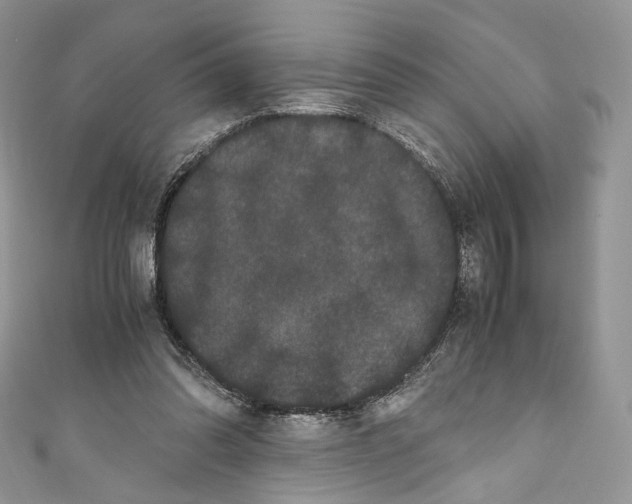 X0000110770302200907271210