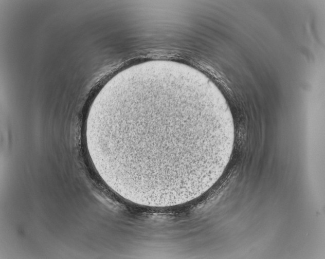 X0000110770303200907271210