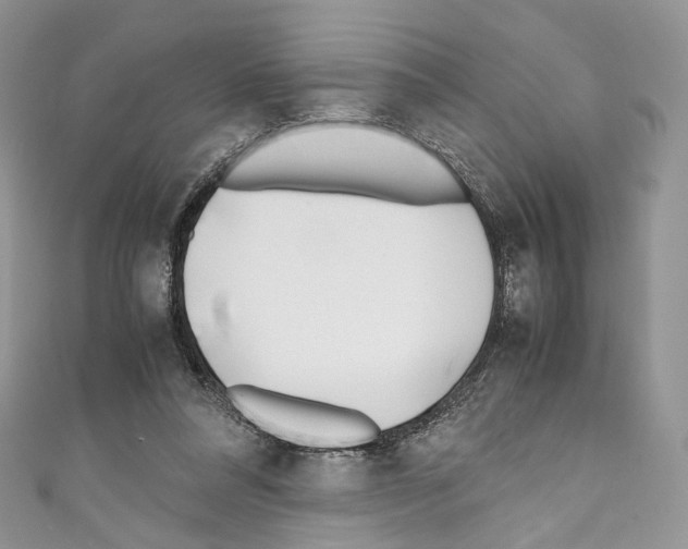 X0000110770304200907271210