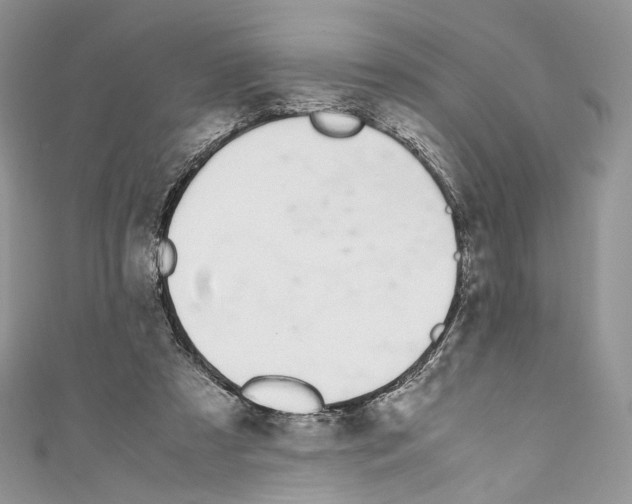 X0000110770305200907271210