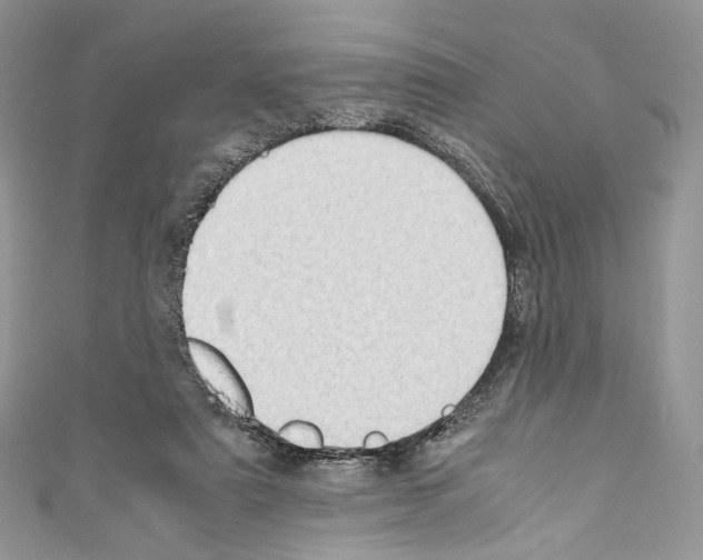 X0000110770307200907271210