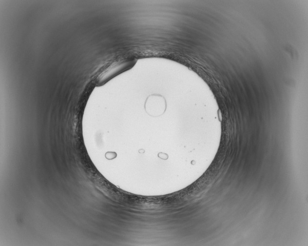 X0000110770308200907271210