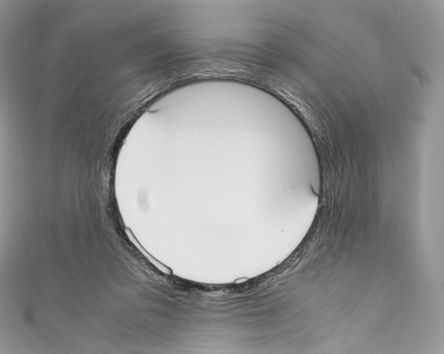 X0000110770309200907271210