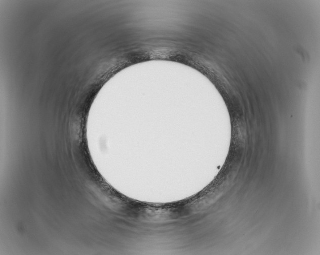 X0000110770311200907271210