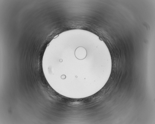 X0000110770312200907271210