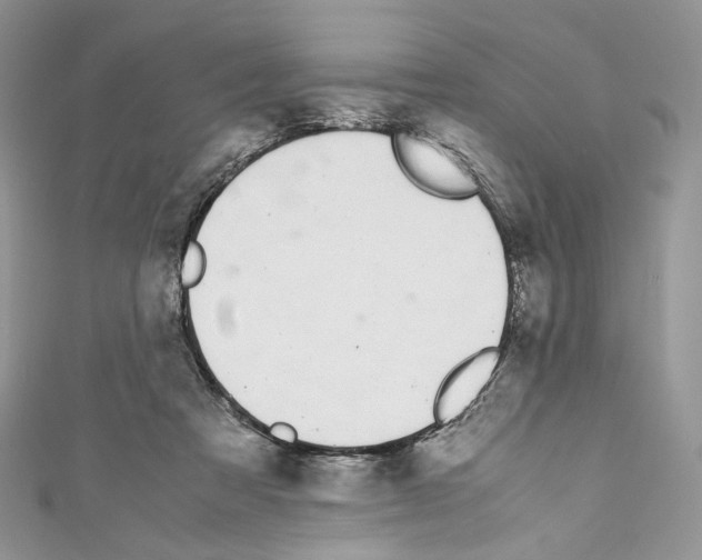 X0000110770313200907271210