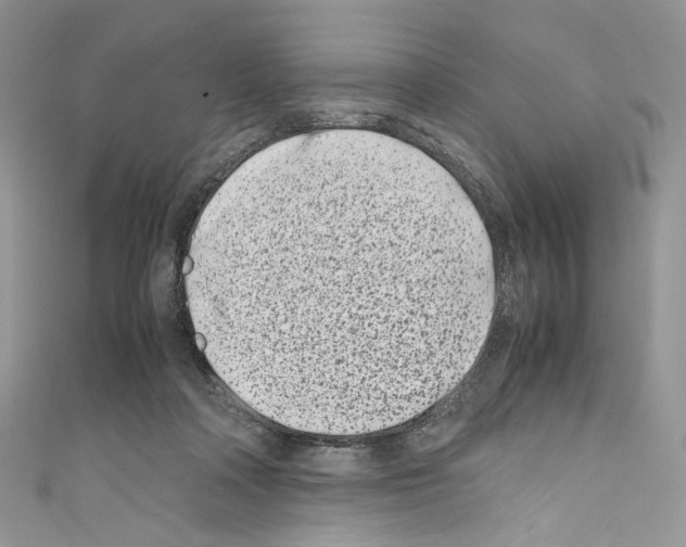 X0000110770314200907271210