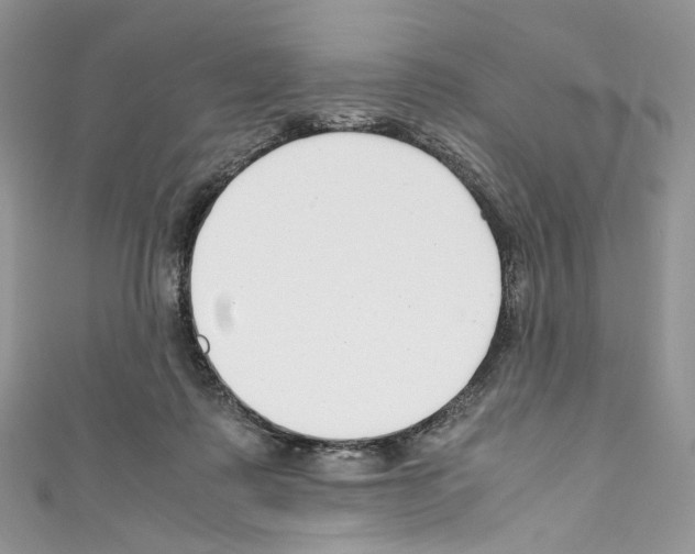 X0000110770315200907271210