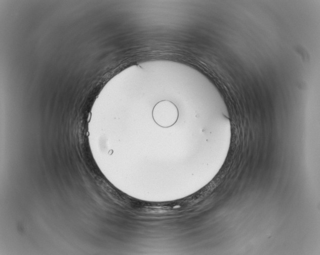 X0000110770316200907271210