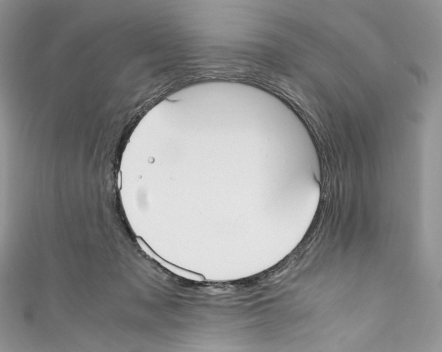 X0000110770317200907271210