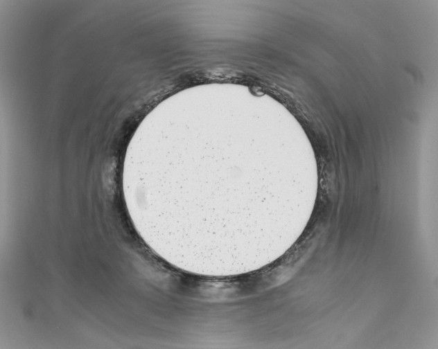 X0000110770319200907271210