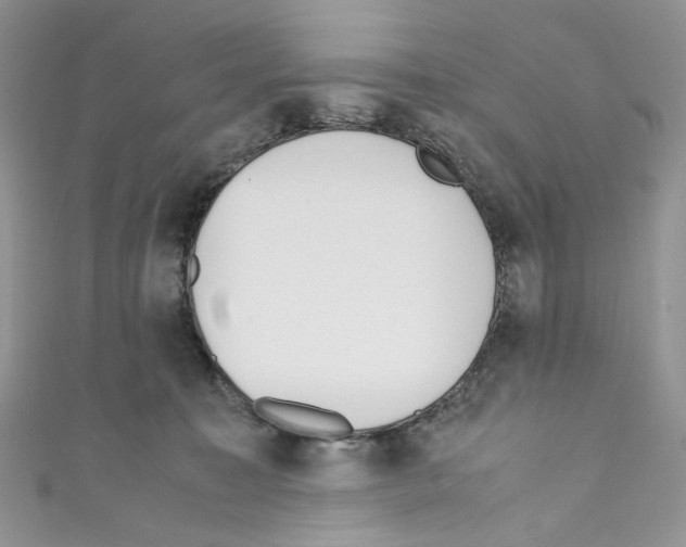 X0000110770323200907271209