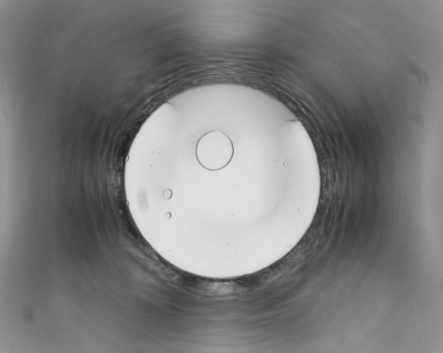 X0000110770324200907271209