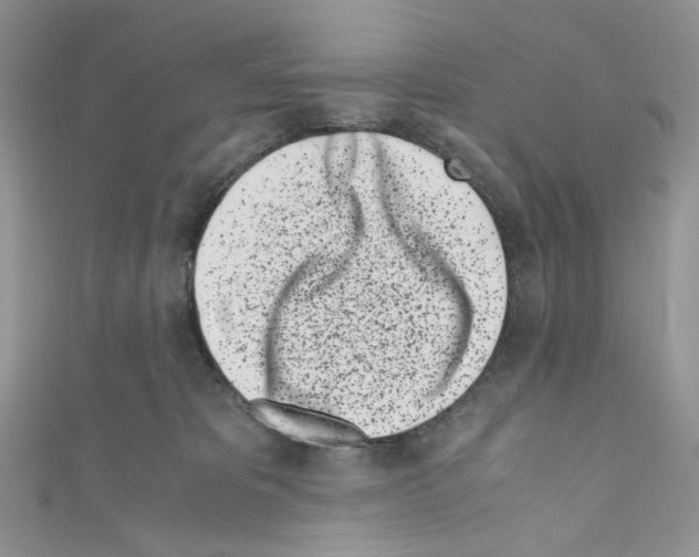 X0000110770325200907271209