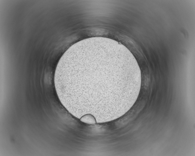 X0000110770326200907271209