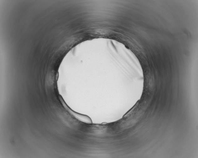 X0000110770328200907271209