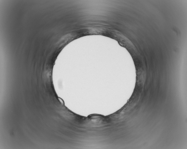 X0000110770329200907271209