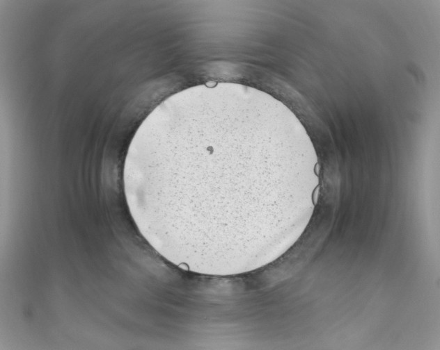 X0000110770330200907271209