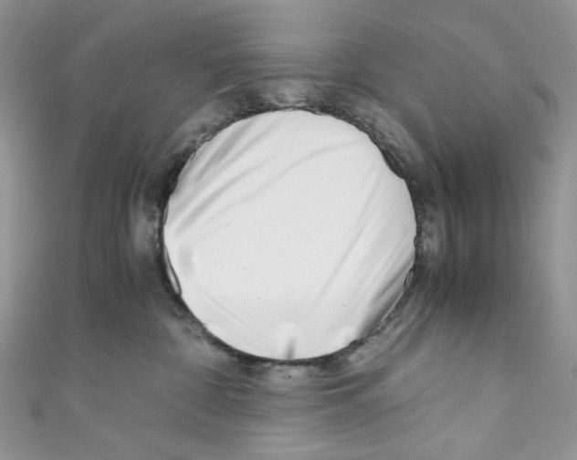 X0000110770332200907271209