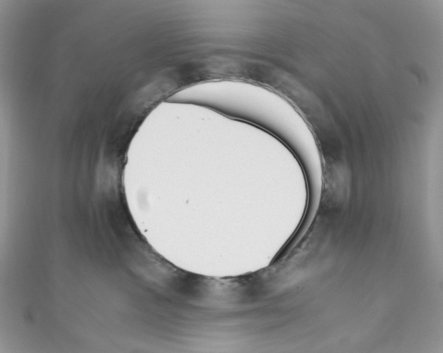 X0000110770333200907271209