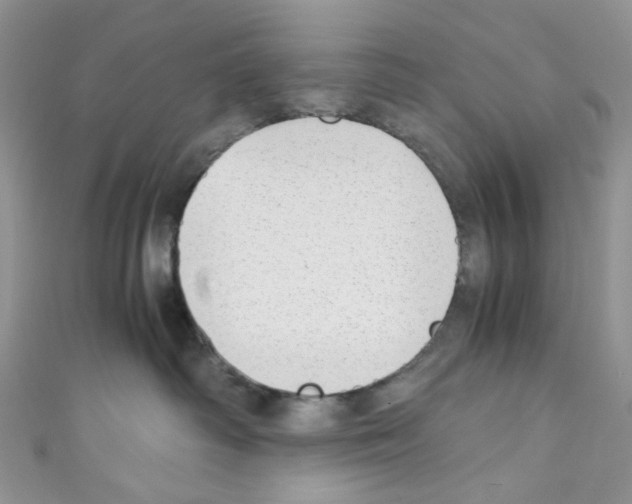 X0000110770334200907271209