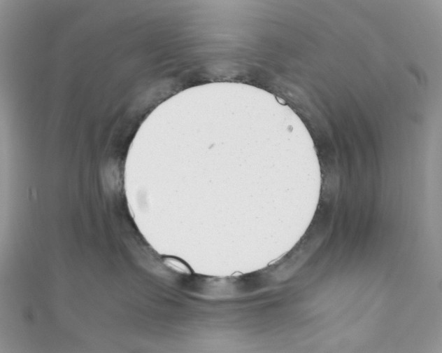 X0000110770335200907271209