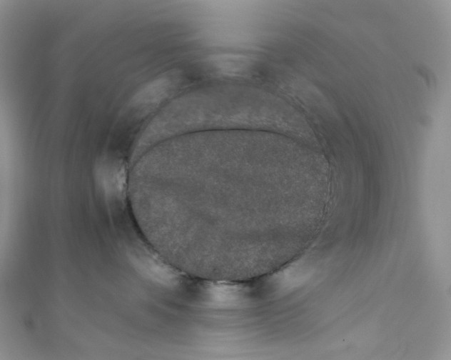 X0000110770336200907271209