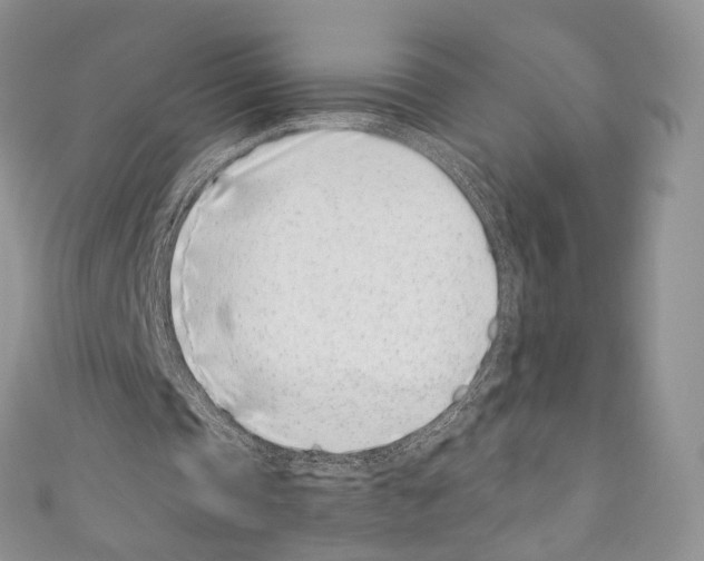 X0000110770337200907271209