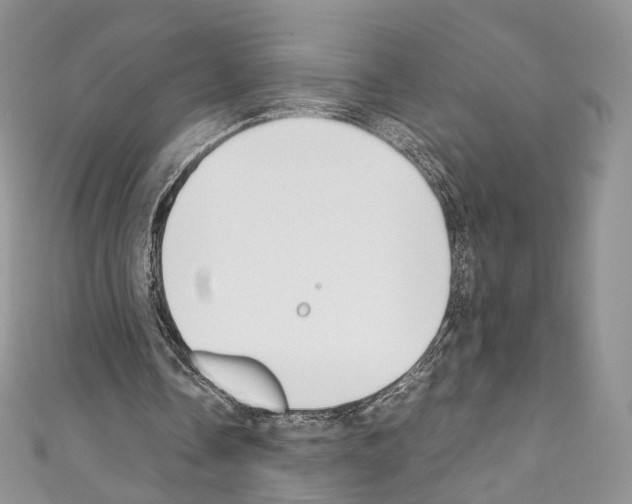 X0000110770338200907271209