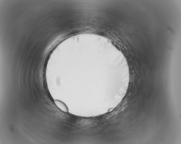 X0000110770341200907271209