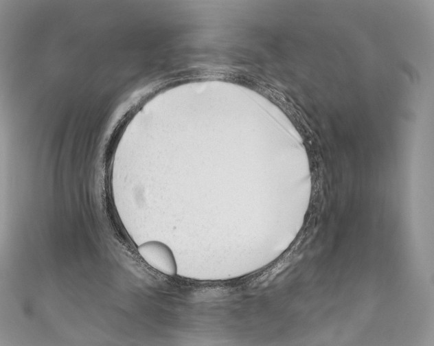 X0000110770342200907271209