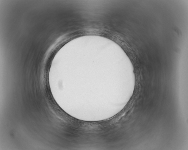 X0000110770343200907271209