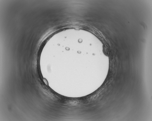 X0000110770344200907271209