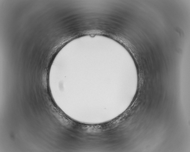 X0000110770345200907271209