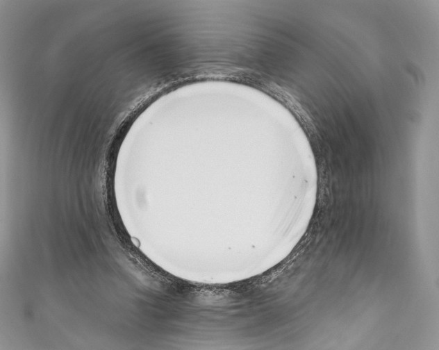 X0000110770346200907271209