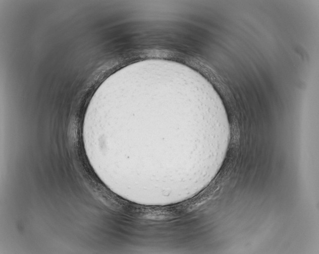 X0000110770347200907271209