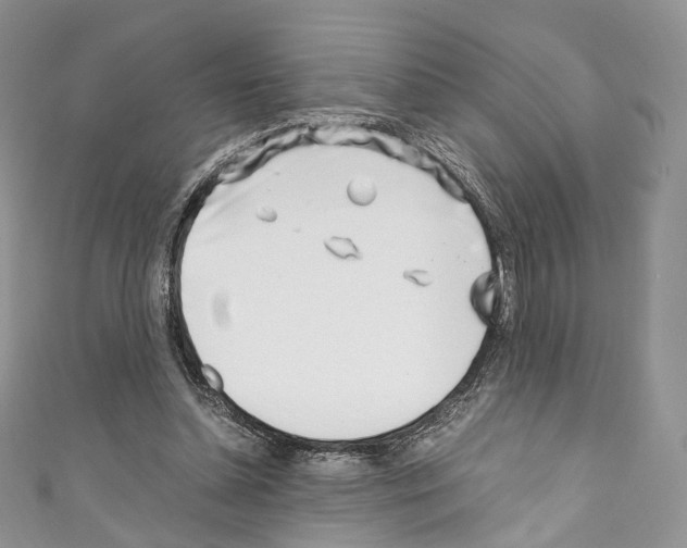 X0000110770348200907271209