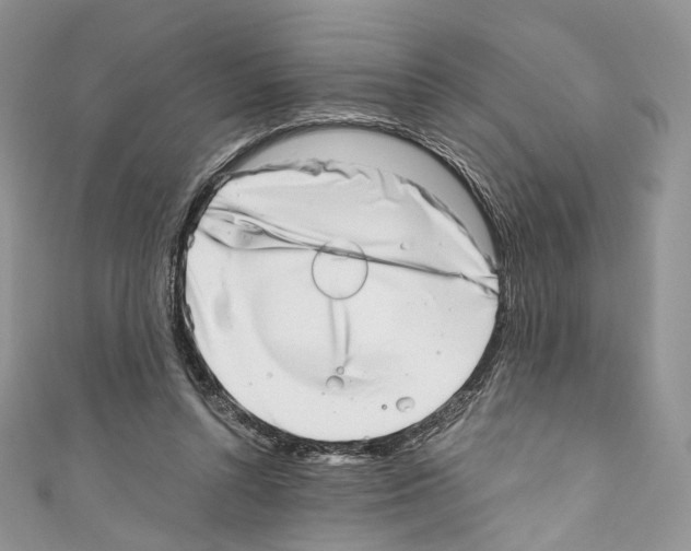 X0000110770352200907271209