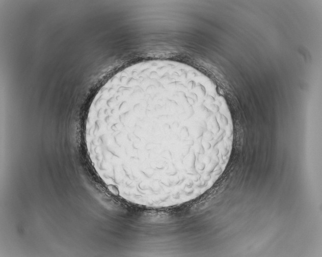 X0000110770354200907271209