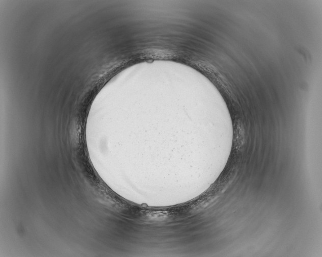 X0000110770355200907271209